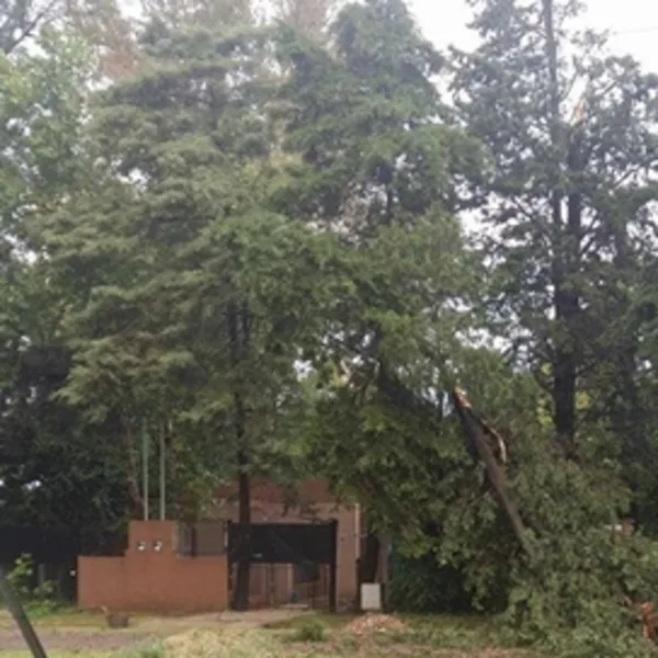 Temporal trágico en Pilar: Una mujer y sus dos hijas murieron al caer un árbol sobre su casa en La Lonja