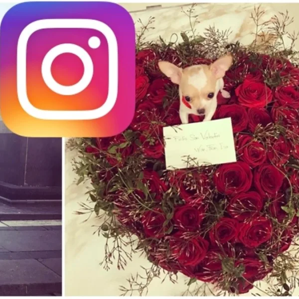 ¡¿Qué puso?! Wanda Nara tuvo que editar un post de San Valentín por las críticas