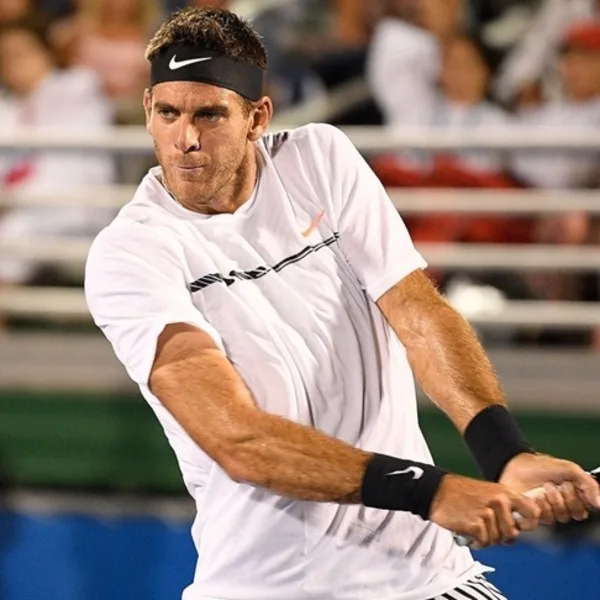Del Potro perdió ante Raonic y quedó eliminado en semifinales