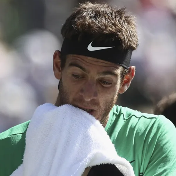 No va más: Del Potro se despidió de Washington y ya no quedan argentinos