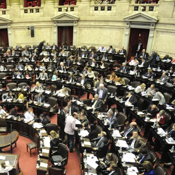 ¿Qué senadores y diputados ya no estarán desde diciembre en el Congreso?