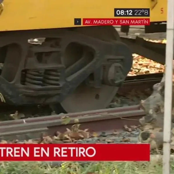 Un tren descarriló en Retiro y complicó el tránsito