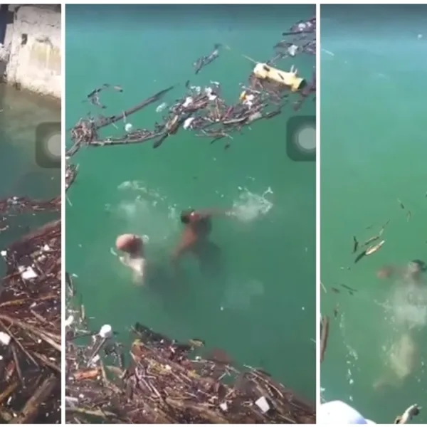 Dos hombres se ahogaron en el río Niagara por saltar a buscar un tronco