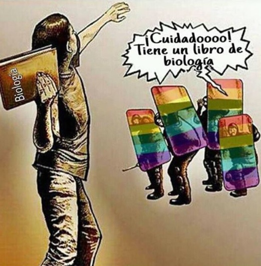 En contra de la diversidad, 'Los celestes' buscan que se enseñe sólo biología en las escuelas| Foto: Twitter @FPSecin. 