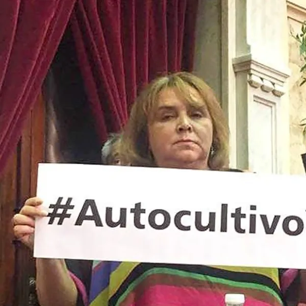 Araceli Ferreyra, la diputada que fue con una planta de marihuana al Congreso