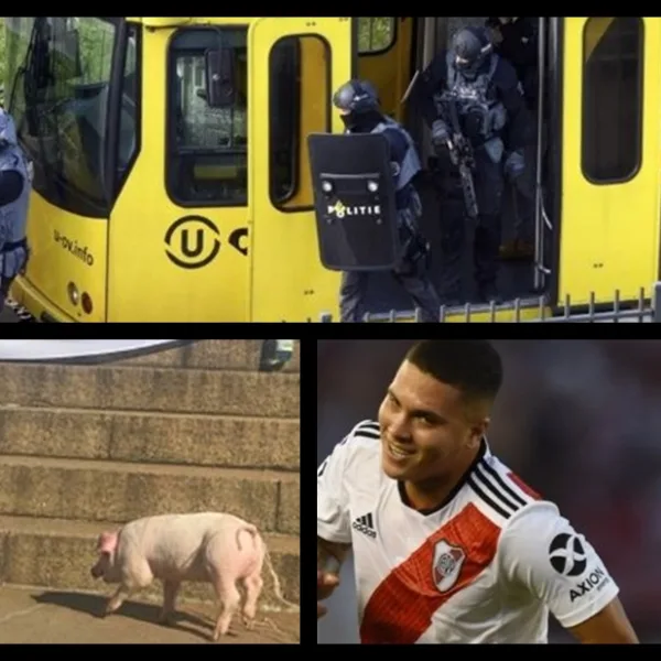 Tiroteo en Holanda, cerdo en Comodoro Py, el por qué del desabastecimiento de leche, Quintero lesionado y más...