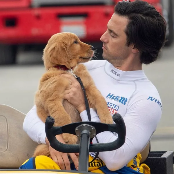 Análisis | Mi Amigo Enzo es un dramón para los amantes de los perros
