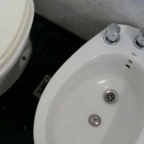 Ante la falta de papel higiénico, el resto del mundo descubre el bidet