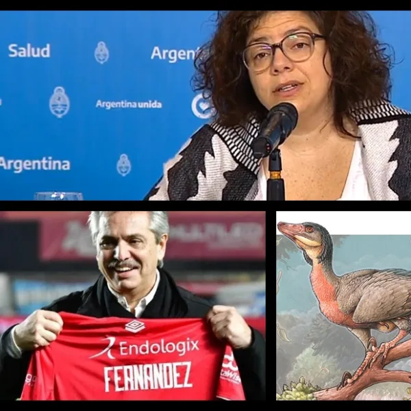 Contagios récord y 656 muertos por coronavirus; Alberto sobre la vuelta del fútbol; Día del Periodista; descubren un nuevo dinosaurio en la Patagonia y más...