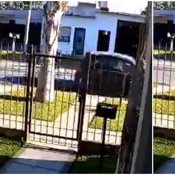 Video: le robaron el auto con su hijo de 6 años adentro