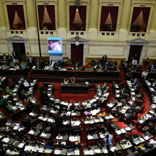 Diputados dio media sanción al Plan de los Mil Días