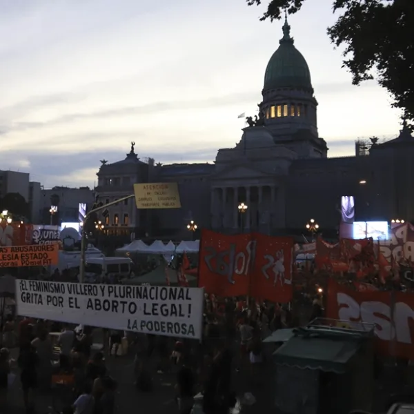 El Senado define cómo girará el proyecto del aborto legal