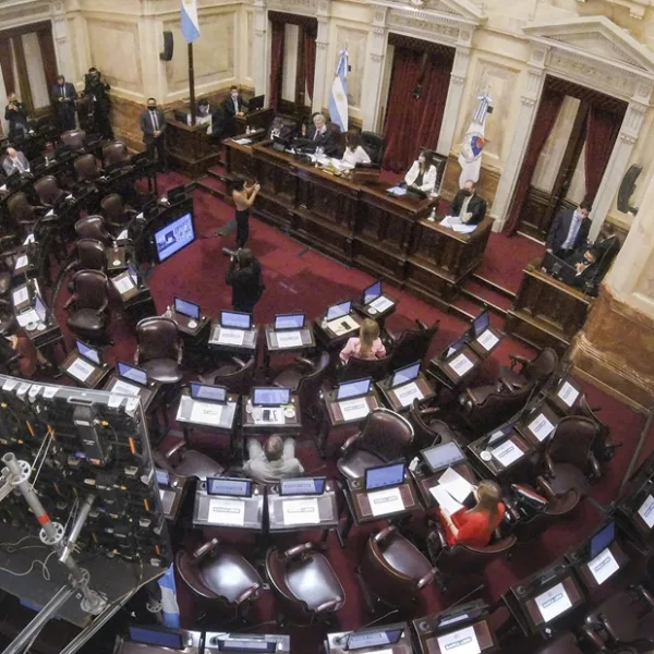 Aborto legal: exposiciones en el Senado