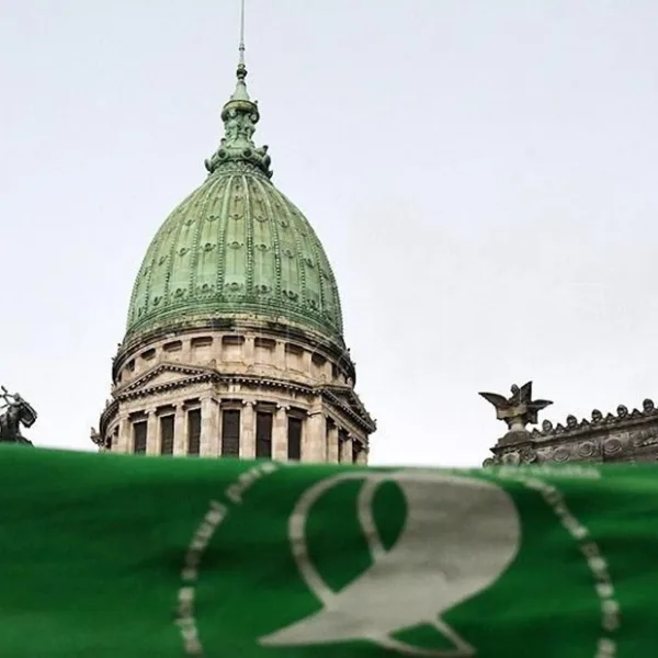 El senado cierra el año con el debate de la Ley de Interrupción Legal del Embarazo