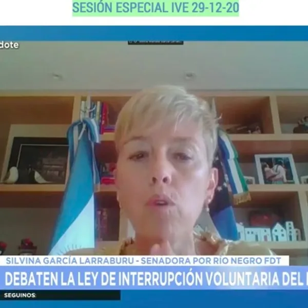 Silvina García Larraburu, la senadora que cambió su voto del 2018