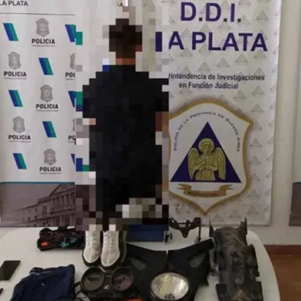 Caso Píparo: detuvieron a un adolescente de 14 años por el robo a la legisladora