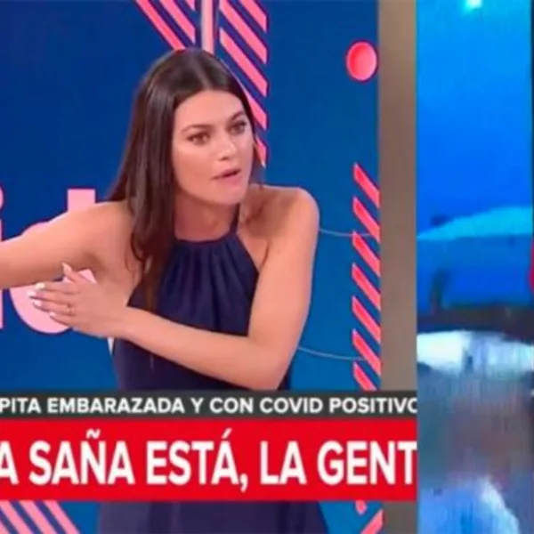 Horacio Cabak y Jujuy se cruzaron al aire por el positivo de Covid de Pampita