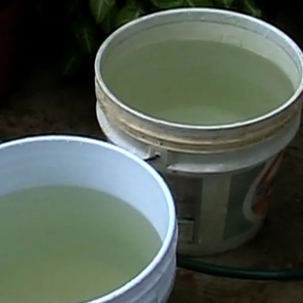 Tras los días de lluvia, llaman a vaciar recipientes donde se acumula agua para combatir el dengue