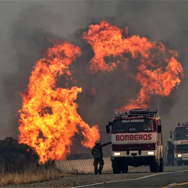 Los incendios forestales de 2020 equivalen a 57 veces la Capital Federal
