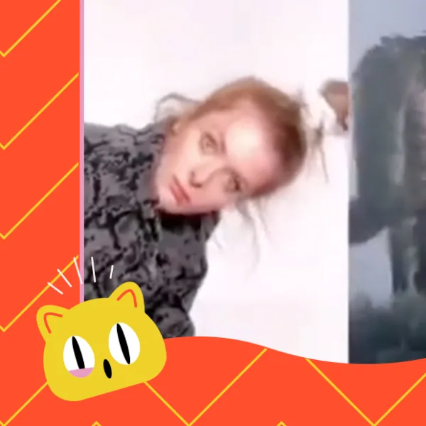 Rankinsta": los videos más random de Internet