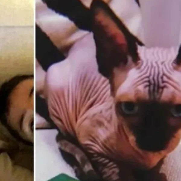 Cristiano Ronaldo envío a su mascota a España en un Jet privado