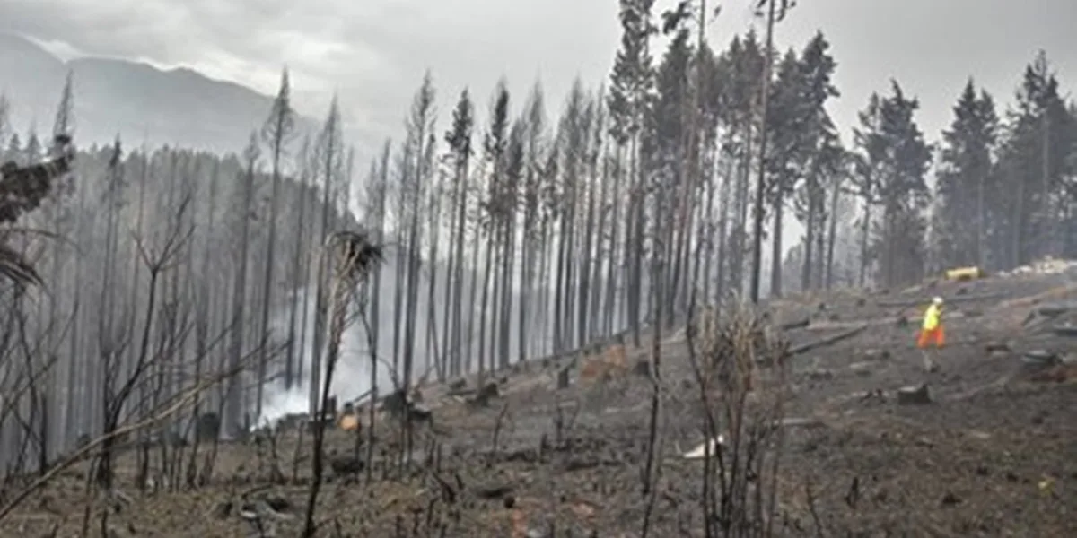 Murió una mujer y ya son dos las muertes por los incendios en la ...