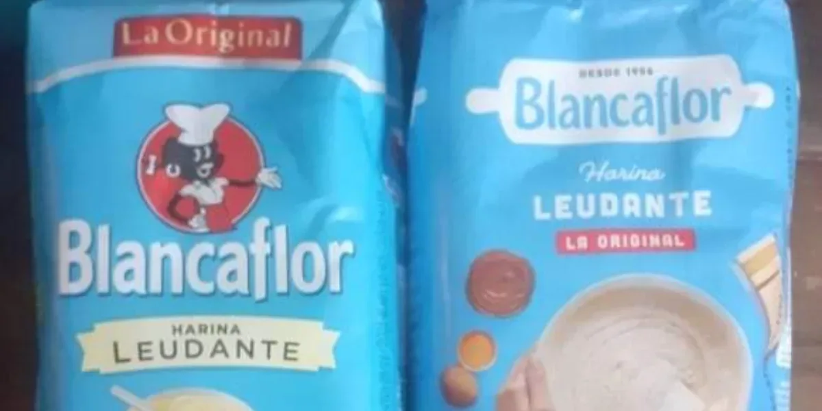 Blancaflor cambió su logo y fue celebrado por la militancia ...
