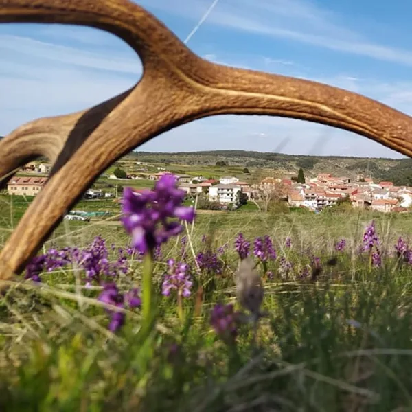 Griegos, el pueblo español que ofrece trabajo y alquiler gratis a familias