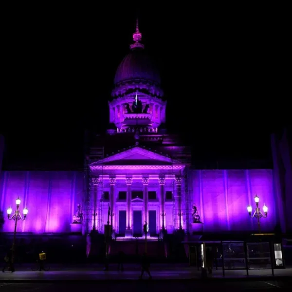 A 30 años de la sanción de la Ley de Cupo Femenino en nuestro país