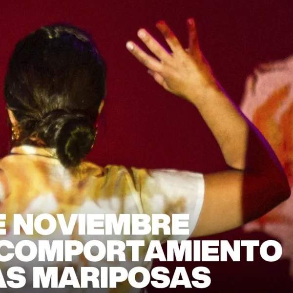 "25 de noviembre o el comportamiento de las mariposas" se presenta en el Cultural San Martín