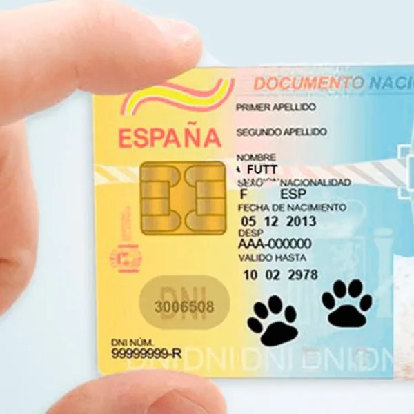 Perros y gatos podrían tener su propio DNI en España