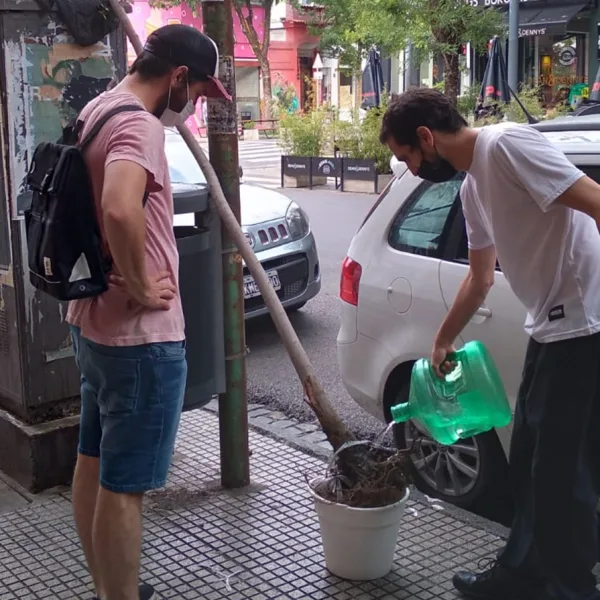 Rescataron un árbol de la basura y su historia se volvió viral