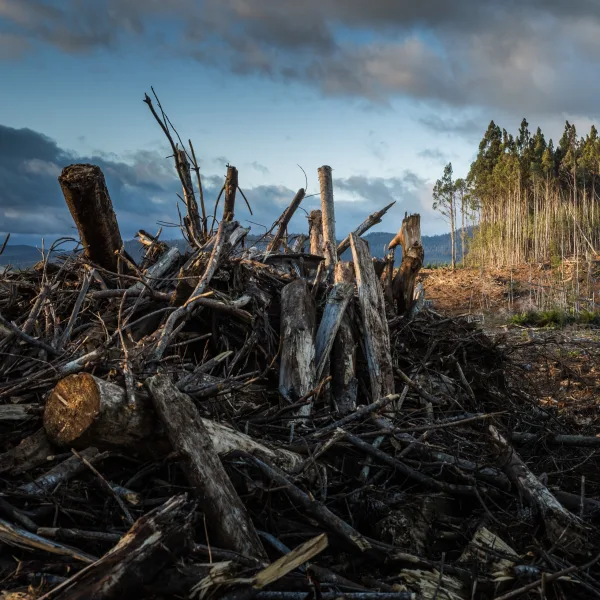 IPCC: El cambio climático está afectando al planeta más rápido de lo que se creía