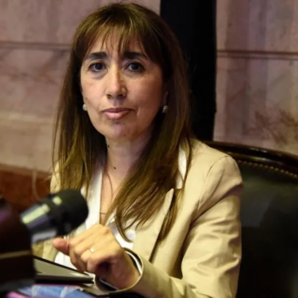 Diputados buscan crear un “Registro Nacional de Personas Deudoras Alimentarias”