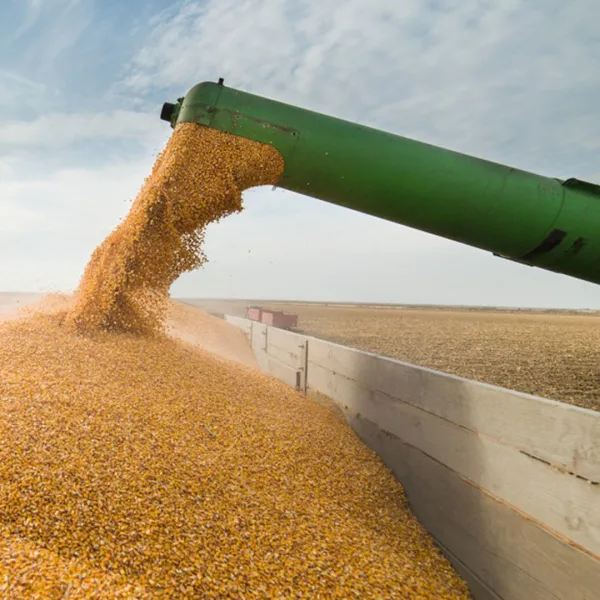 La liquidación de exportaciones del agro fue récord en mayo