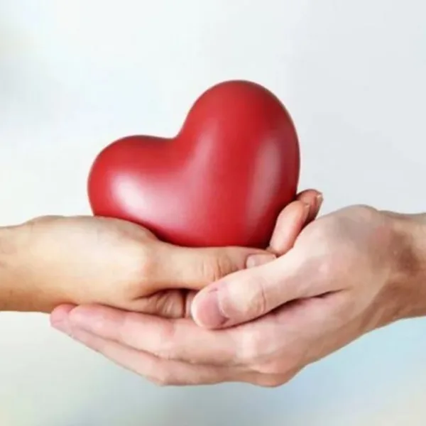 Día Mundial de los Pacientes Trasplantados: la importancia de donar