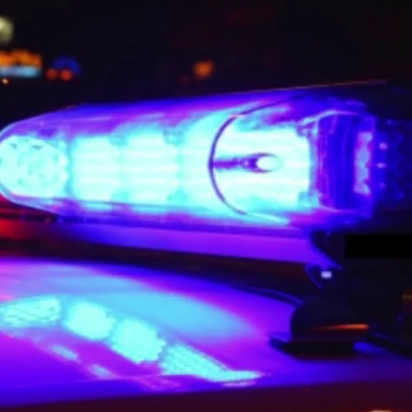 La Plata: estudiantes encontraron huesos en el patio de su casa