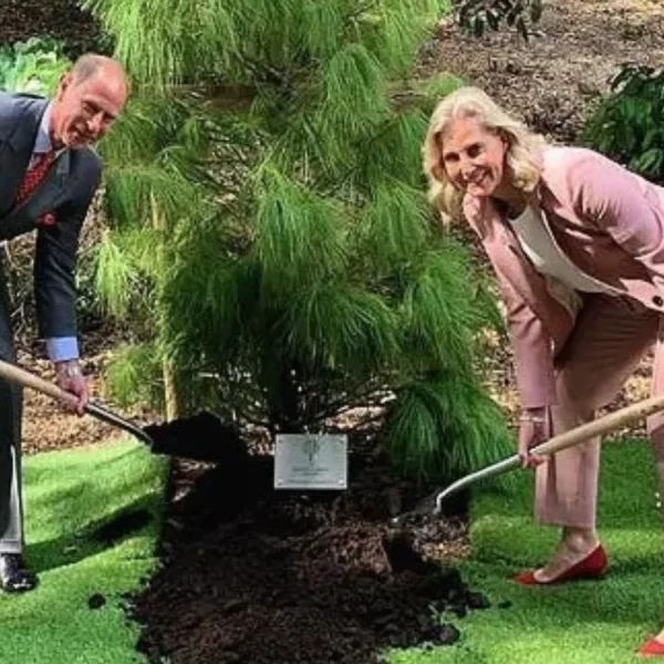 El peculiar último posteo de la cuenta oficial de la familia real británica