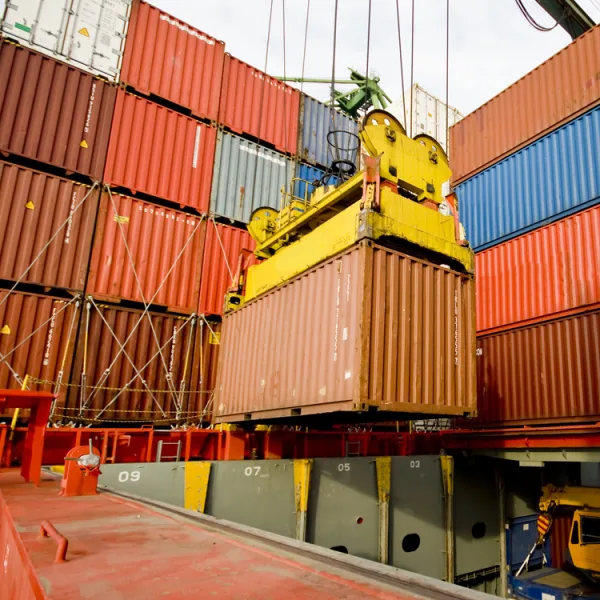 La Aduana evitó el ingreso al país de sustancias cancerígenas chinas