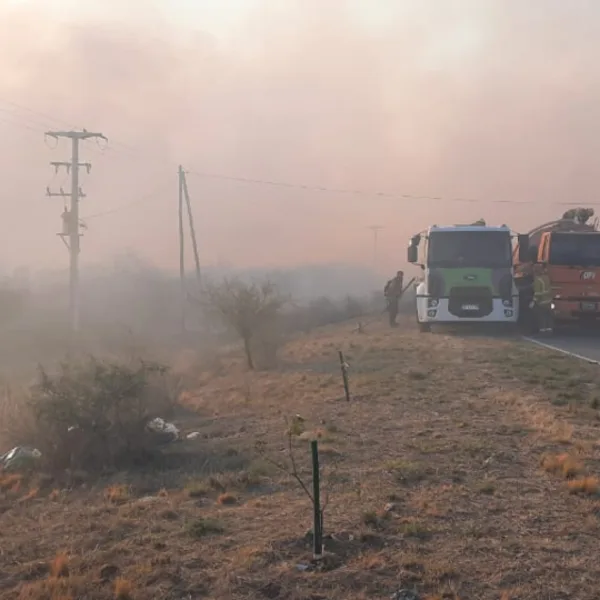 Cinco provincias registraron incendios forestales activos