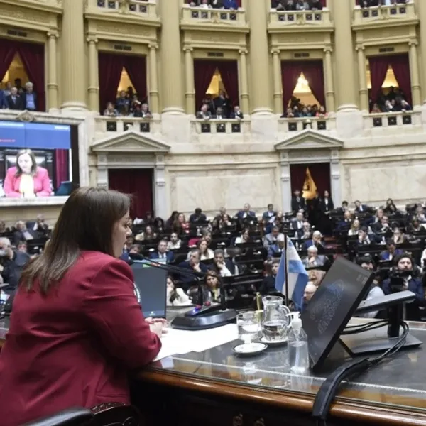 "Ley Lucio": el proyecto obtendría media sanción este miércoles en Diputados