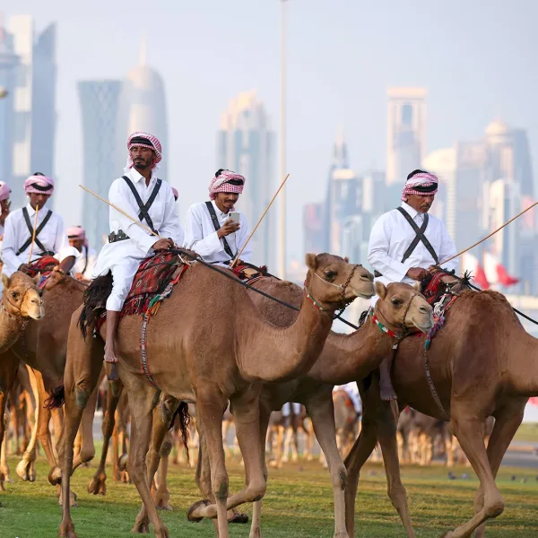 Preocupación por el virus del camello: podría haber brotes tras el Mundial de Qatar 2022