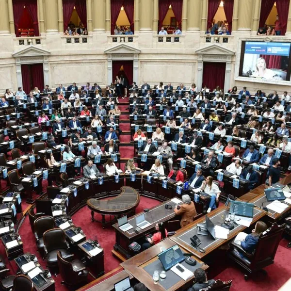 Diputados buscará aprobar la ley de moratoria previsional