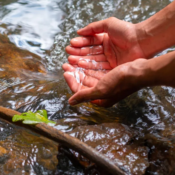 ¿Sabías que una persona necesita 16 litros de agua por día?