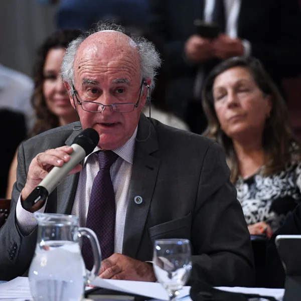 Parrilli: "El fallo de la Corte fue ordenado por el macrismo para evitar el triunfo del peronismo"