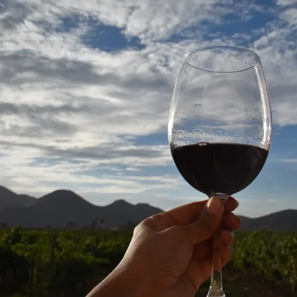 El Cabernet Sauvignon celebra su día