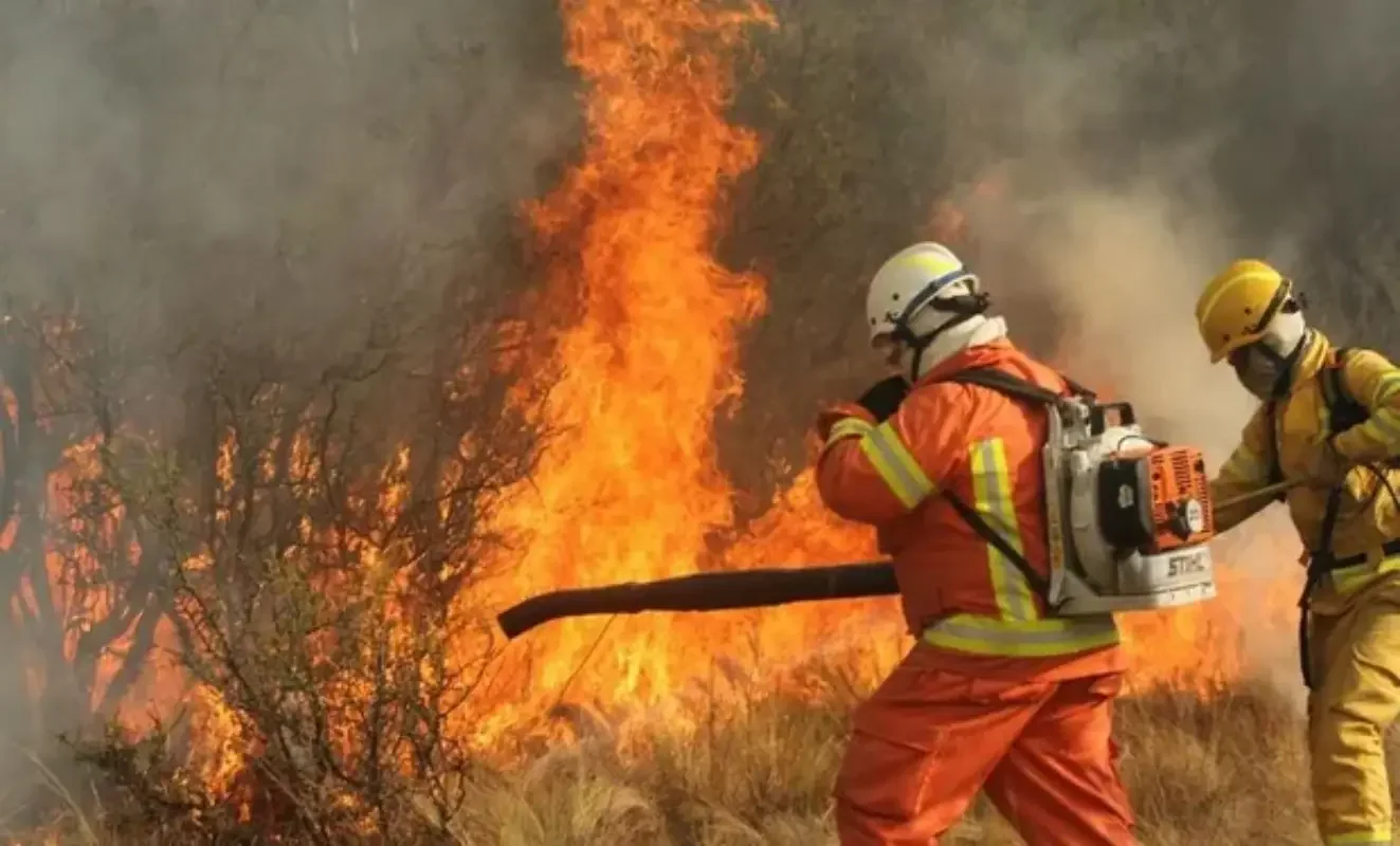 Qué es la Ley de Manejo de Fuego | Filo News