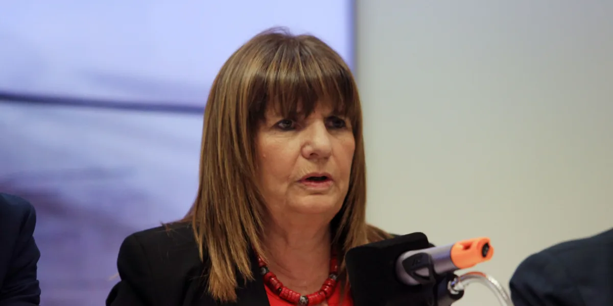 Bullrich le respondió a Daer: "Los que no van a poder caminar por la ...