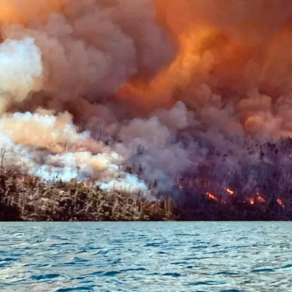 Chubut le pidió colaboración al FBI para investigar los incendios en el parque nacional Los Alerces