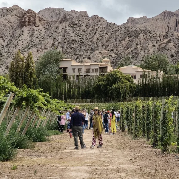 Vinos, gastronomía y arte: llega una nueva edición de la Vendimia en la Quebrada de Humahuaca